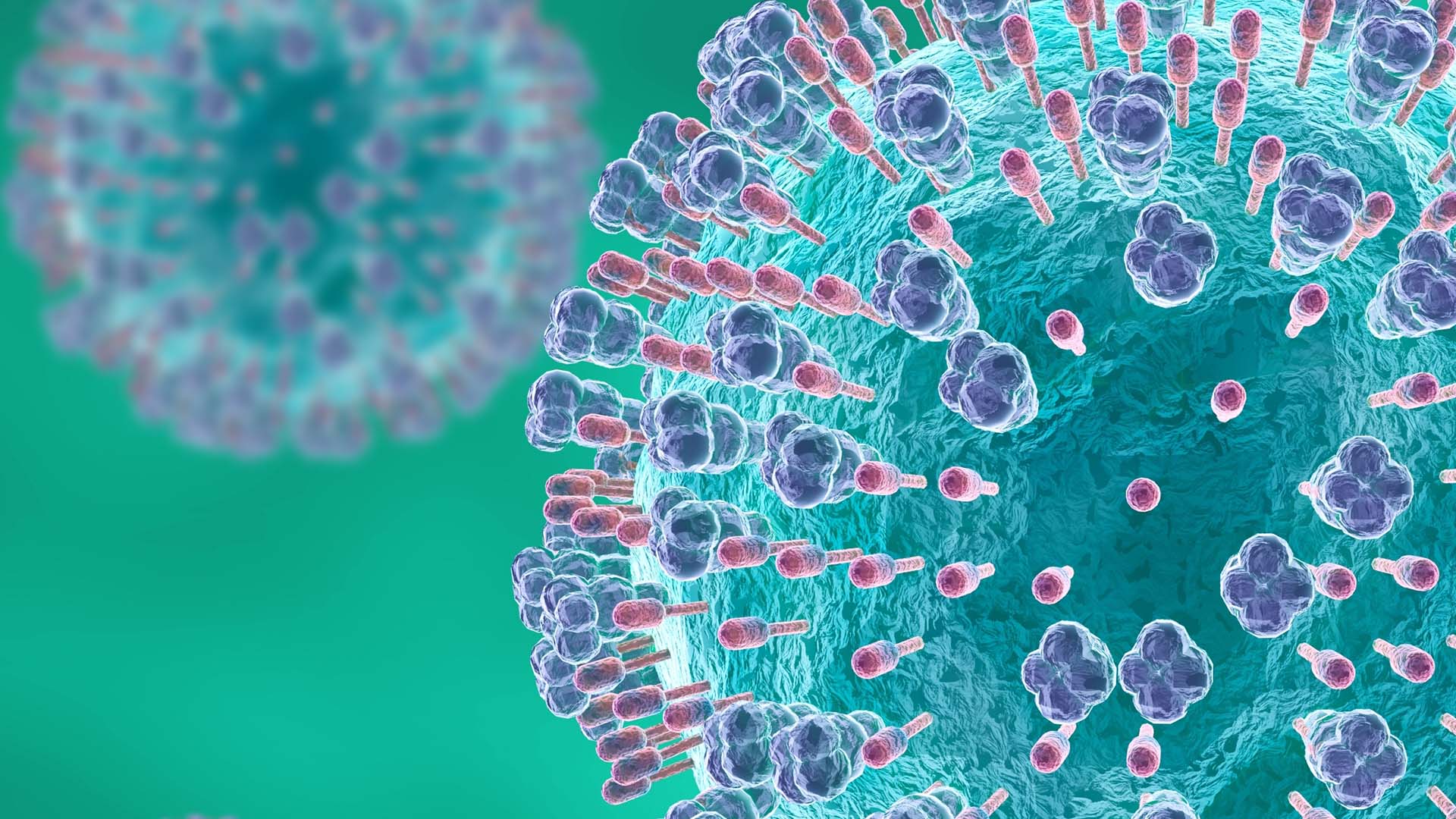 June 2025 - Respiratory RSV