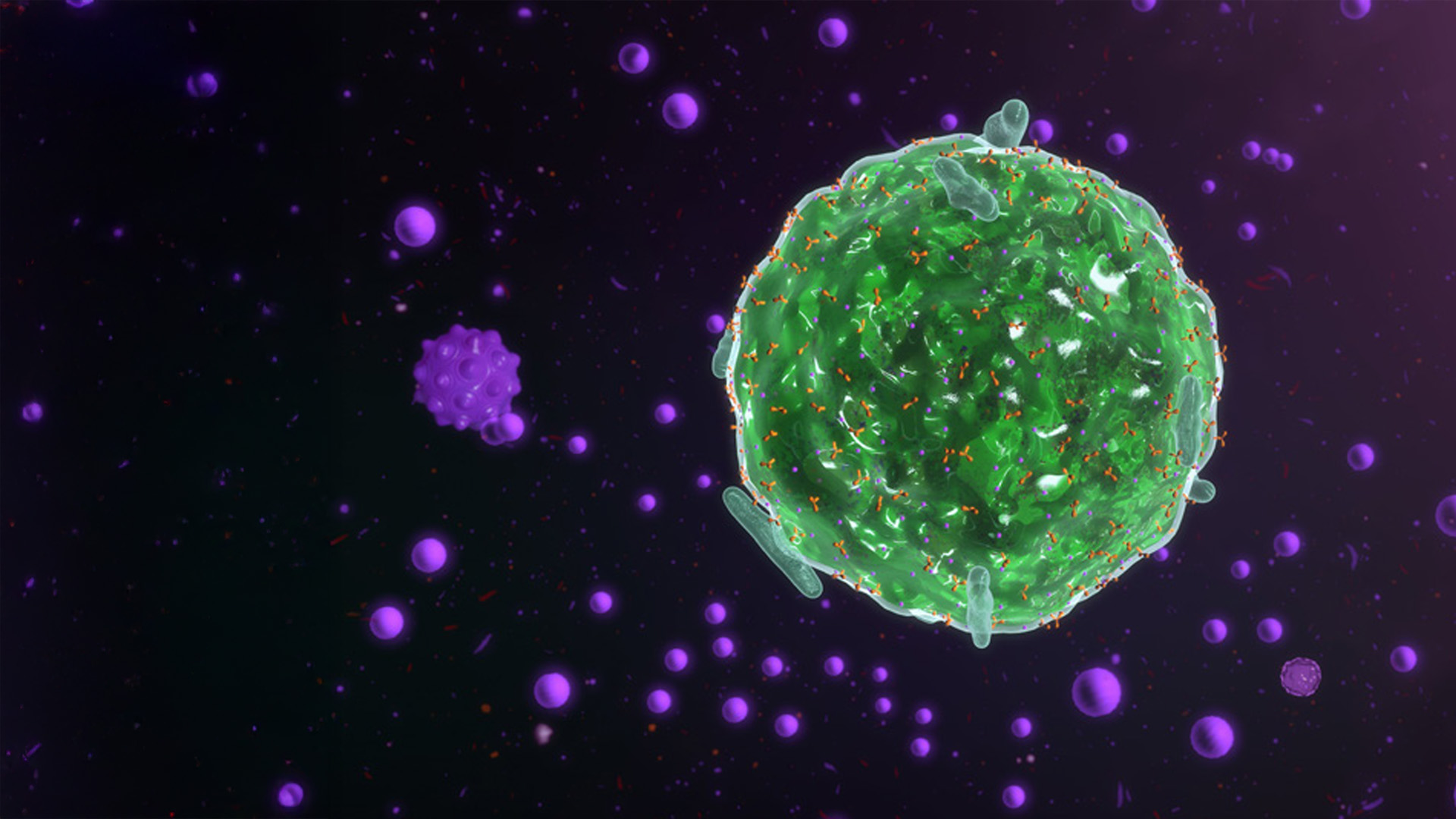 Sept 2021 - Assessing allergy