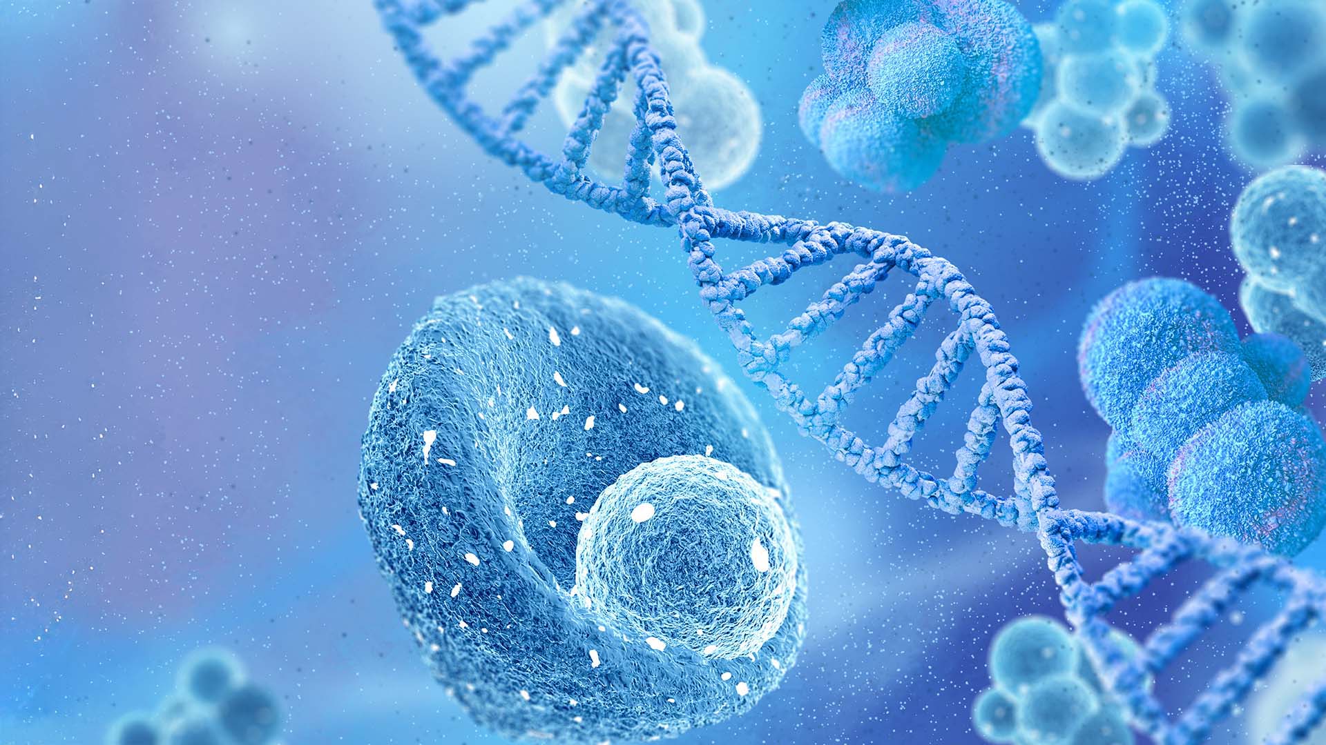 Sept 2023 - Somatic Mutation testing