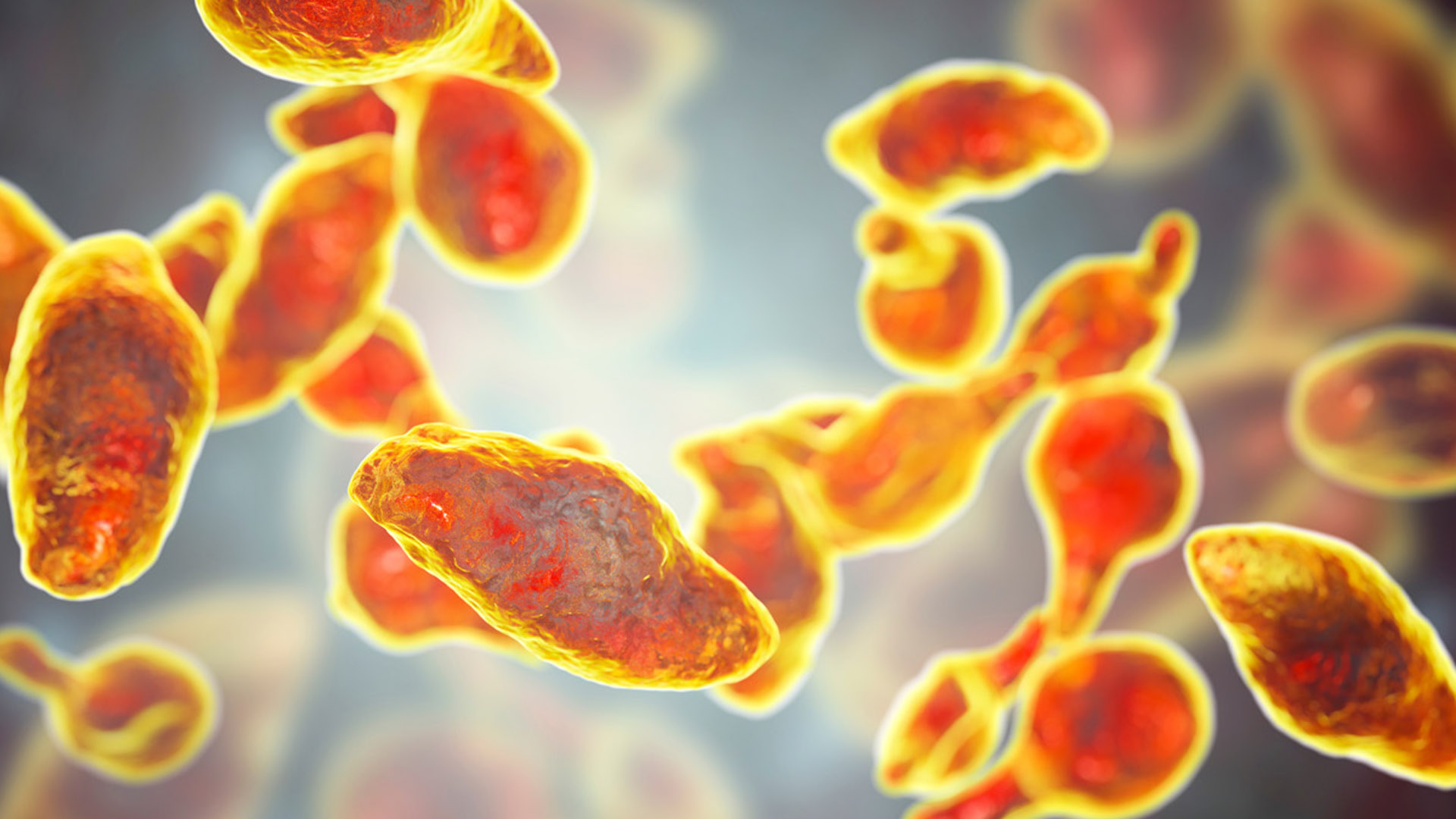 Sept 2025 - Mycoplasma genitalium