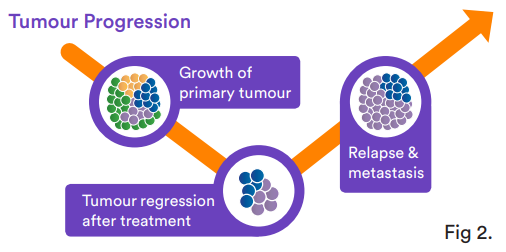 Figure 2. Tumour progression pathway - aspect liquid biopsy - october 2022